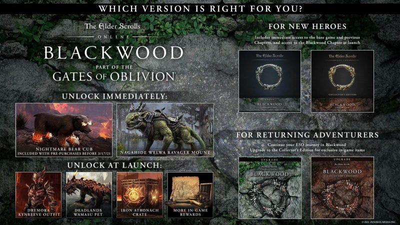 The Elder Scrolls Online: Blackwood - Pre-Order Bonuses